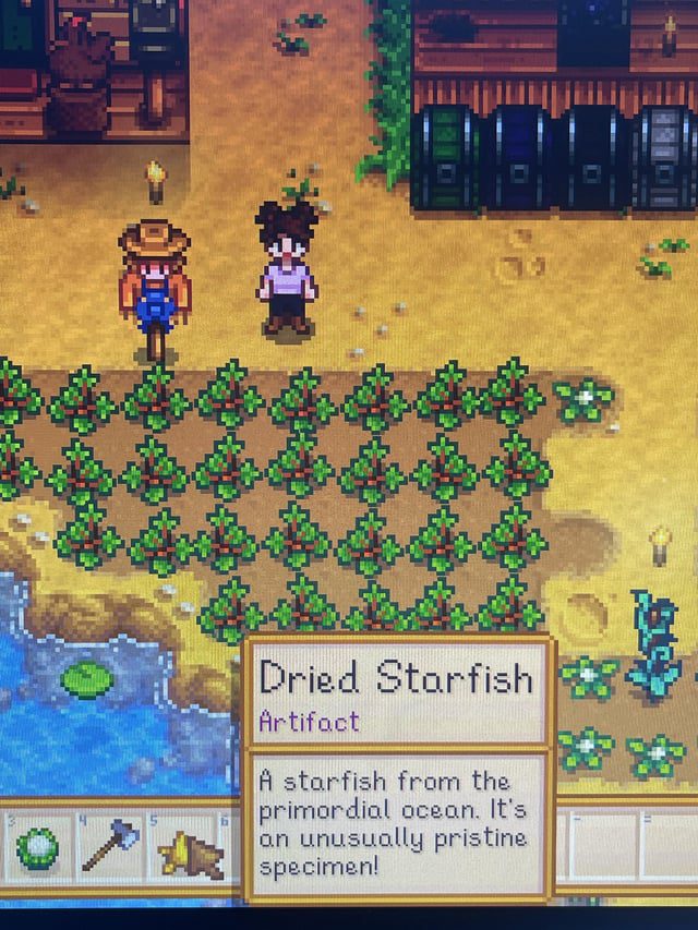 Can You Sell Furniture in Stardew Valley