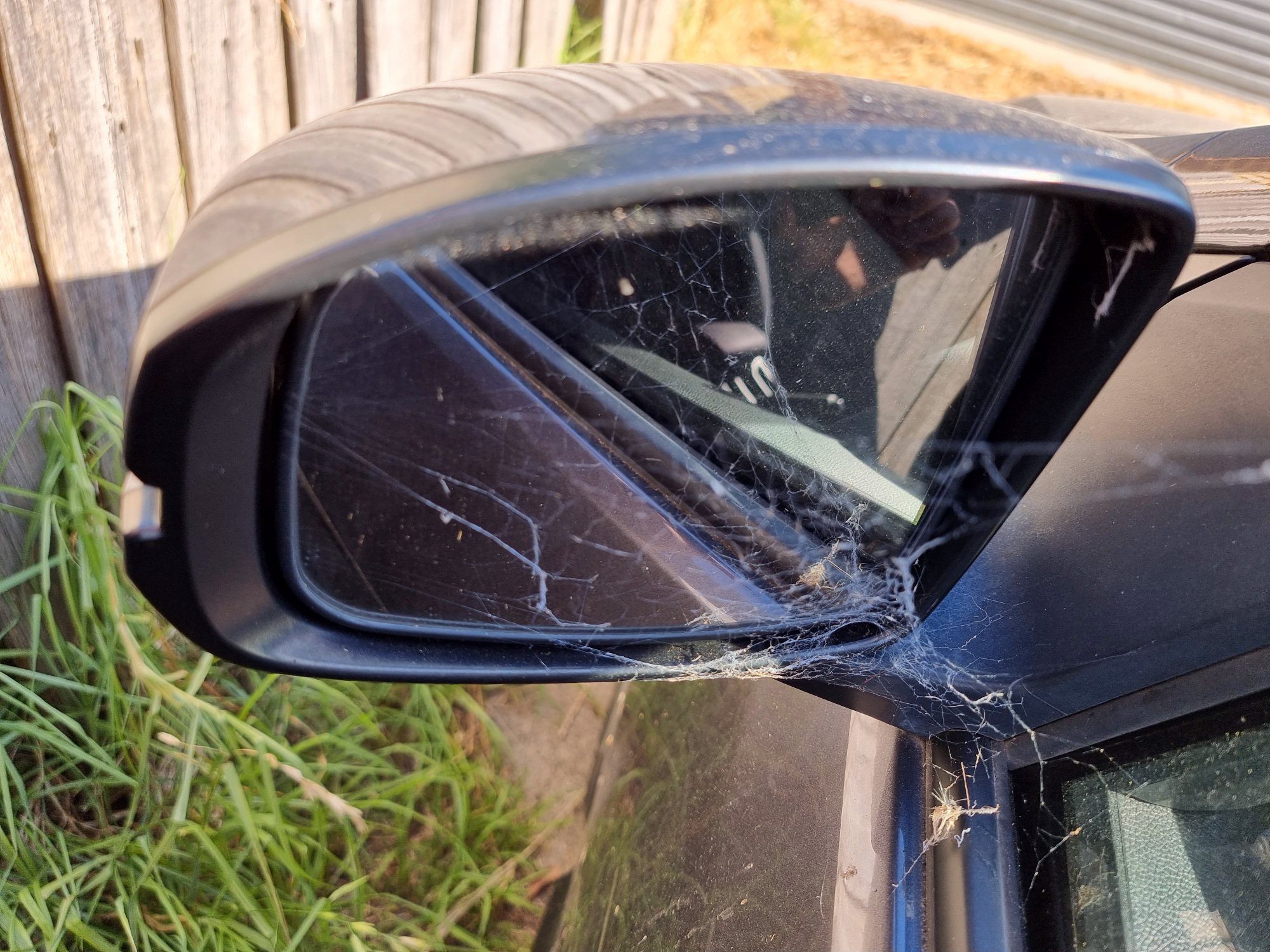 How to Stop Spider Webs on Car Mirrors